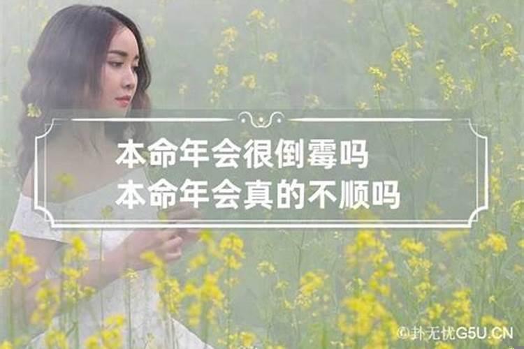 本命年真的很不顺