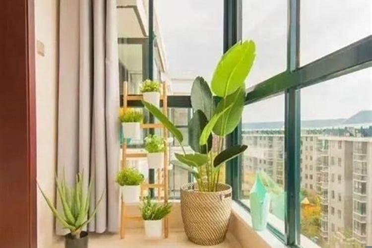 家居风水上有讲究吗