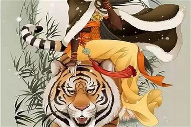 虎年什么属相运势好啊