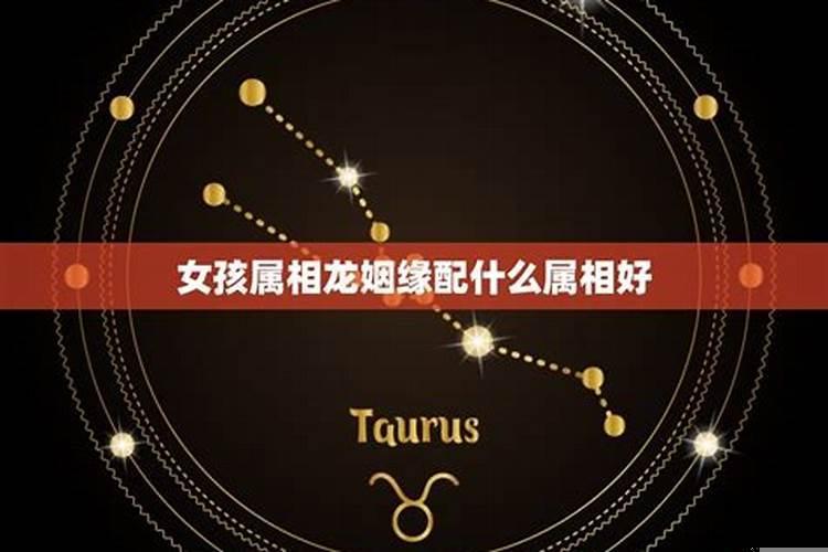 女属狗男属蛇的婚姻怎么样