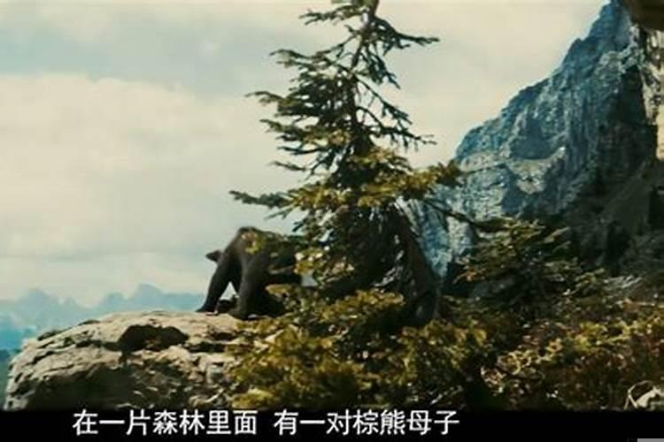 一觉无余是什么生肖