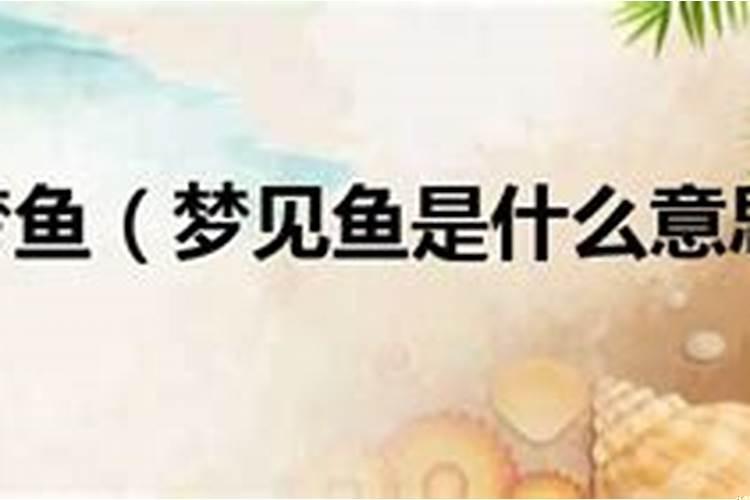 周公解梦梦到青龙在天上飞