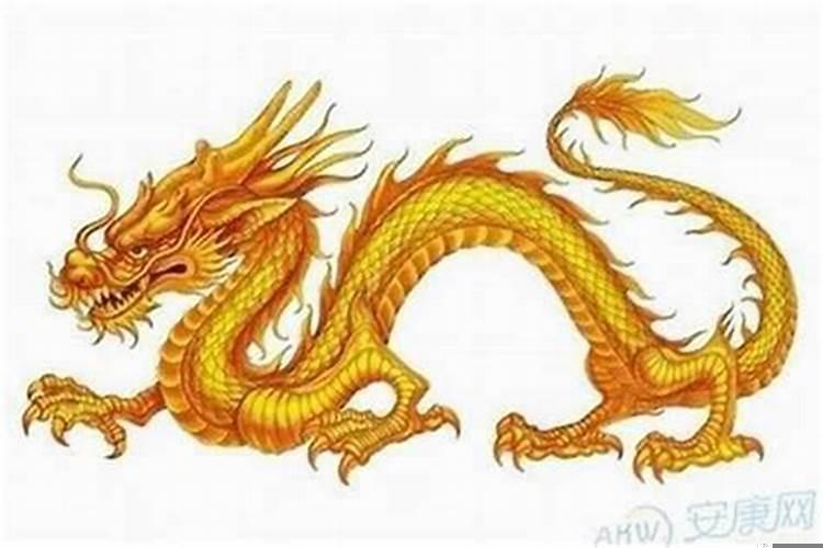 88年女属龙最佳婚配