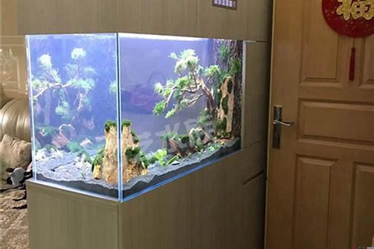 鱼缸正对进户门好不好