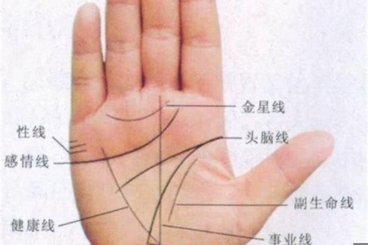 怎么看手相有几个子女