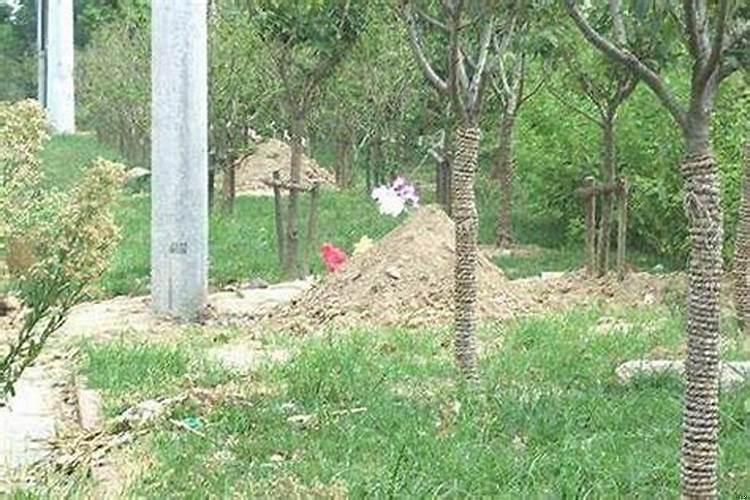 坟向东南方属什么坟