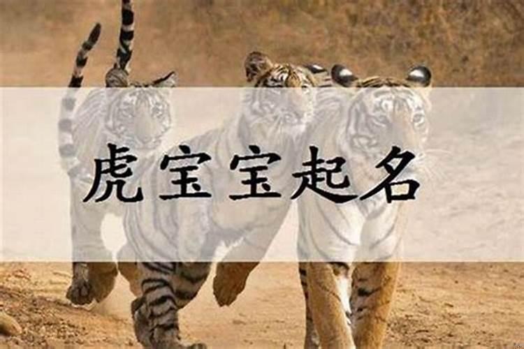 2022年出生男孩虎最好的名字景