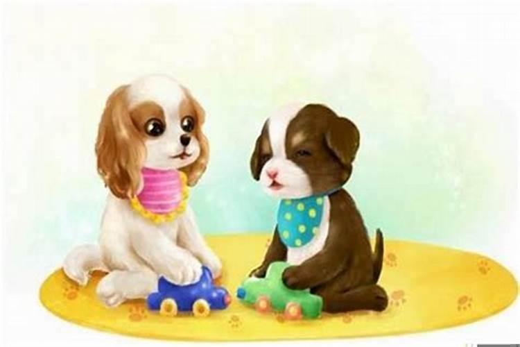 1982年属狗的姻缘