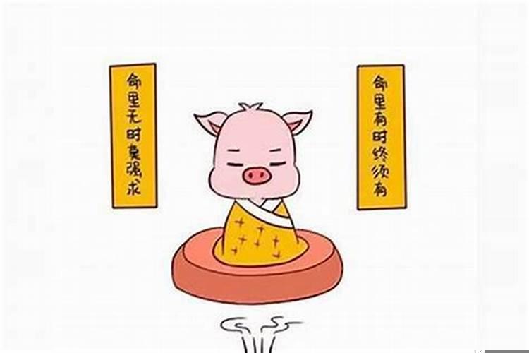 属猪不适合做什么生意