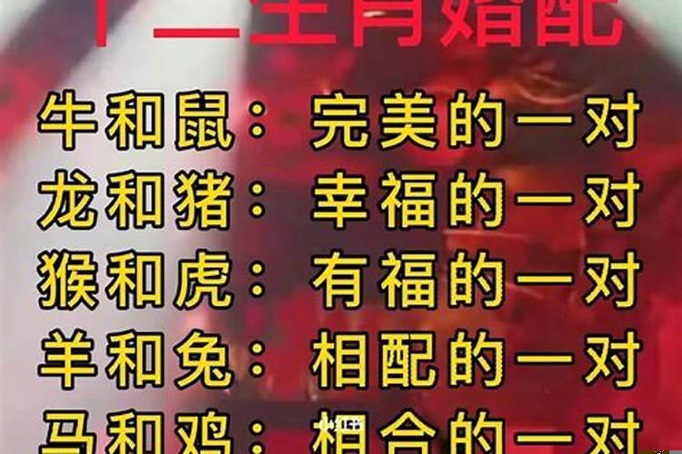 女属猪的最佳婚姻配对