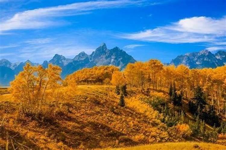 各星座对待爱情的态度