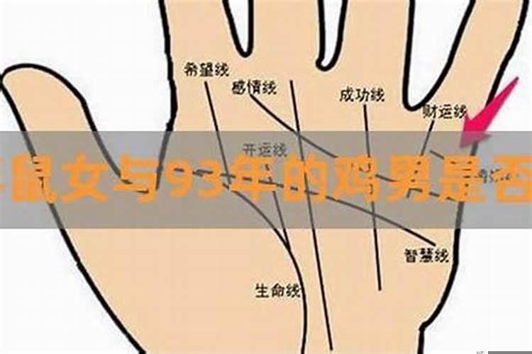 94年男狗93年女鸡属相般配吗