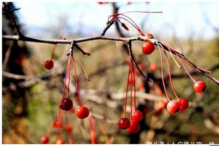 女人旺夫的八字命理特点