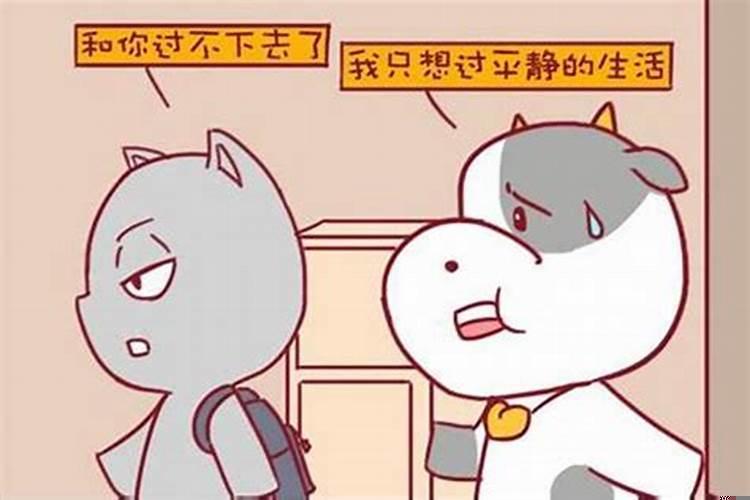 射手男喜欢女友每天联系吗