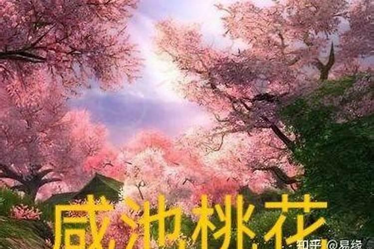 命犯桃花会怎样
