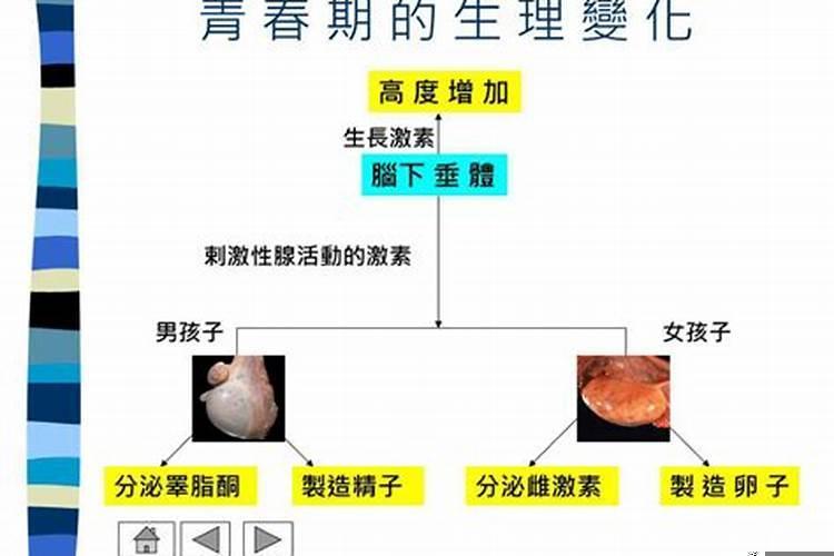 繁殖能力最强的人