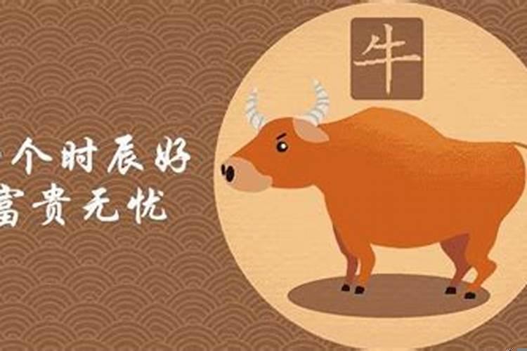 属牛几时出生最好命运