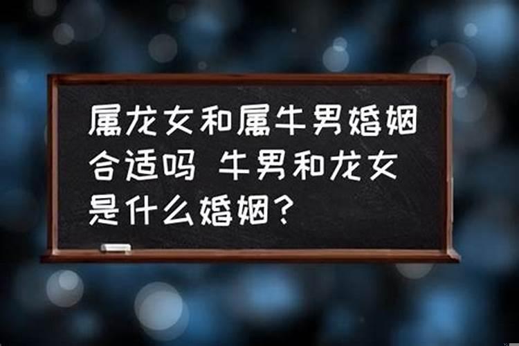 男龙女牛婚姻合适吗