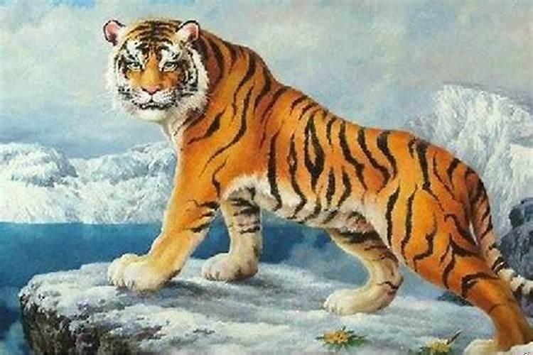 家里两个属猴的一个属虎的