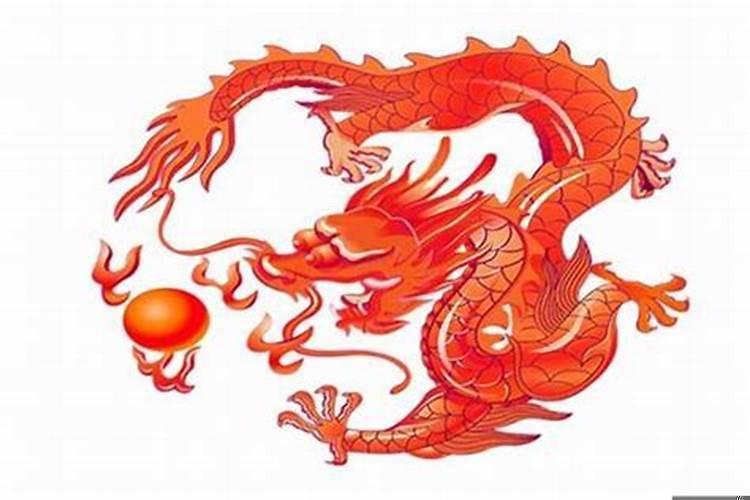 龙跟属相合不合