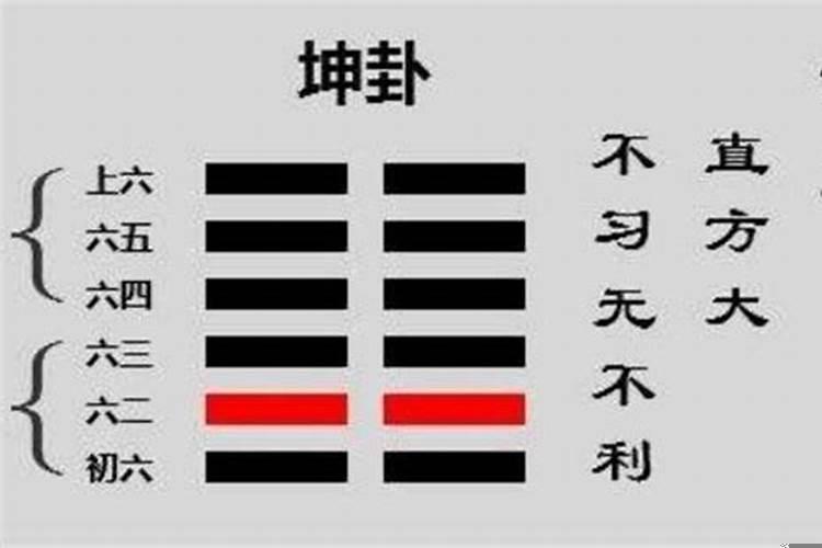 家里东方位摆什么好