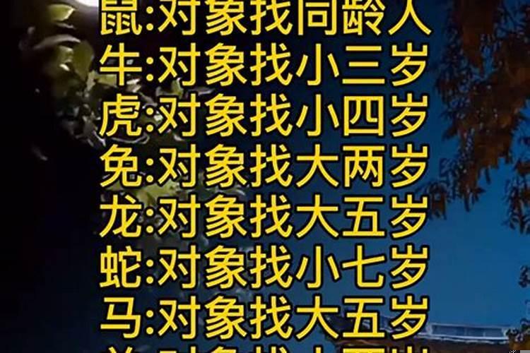 十二生肖好运年龄