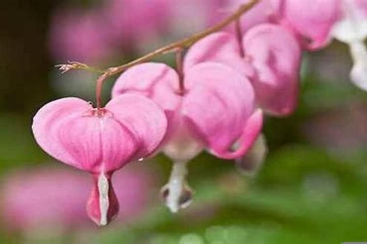 大运走墓库运是什么意思