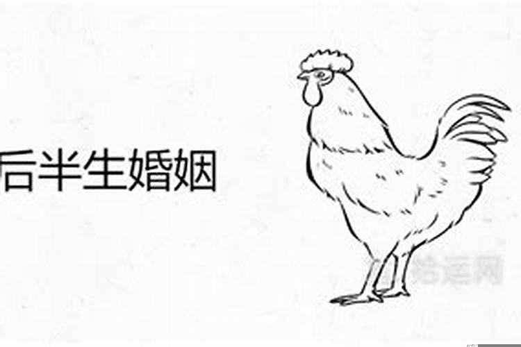 1969年鸡今年婚姻