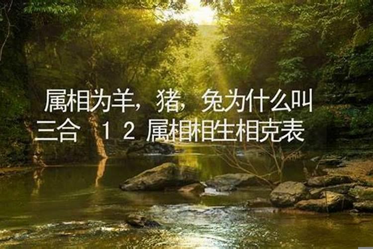 什么叫属相三合局