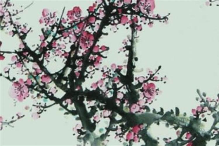 1969年鸡今年婚姻