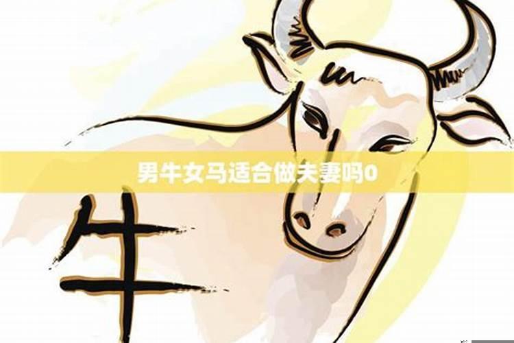 男龙女牛婚姻合适吗