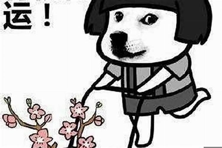 人的运气会不会一直不好