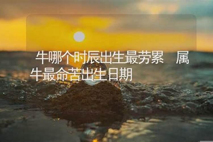 属牛几时出生最好命运
