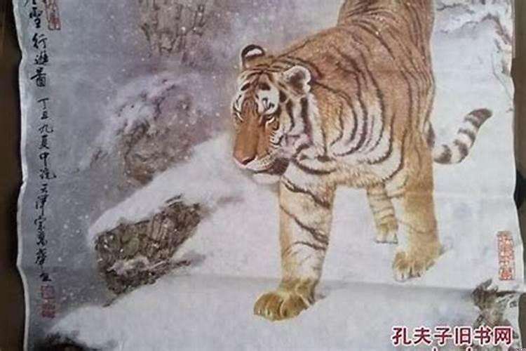 家里两个属猴的一个属虎的