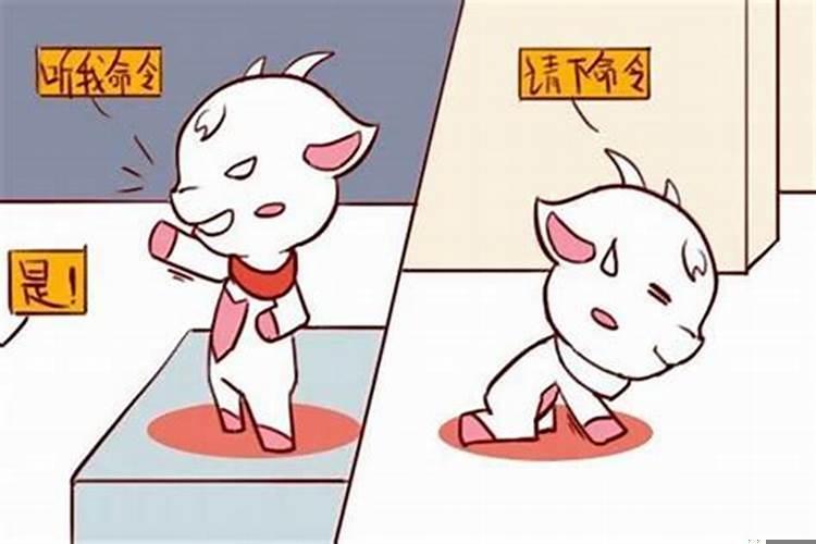 白羊座女星老公星座