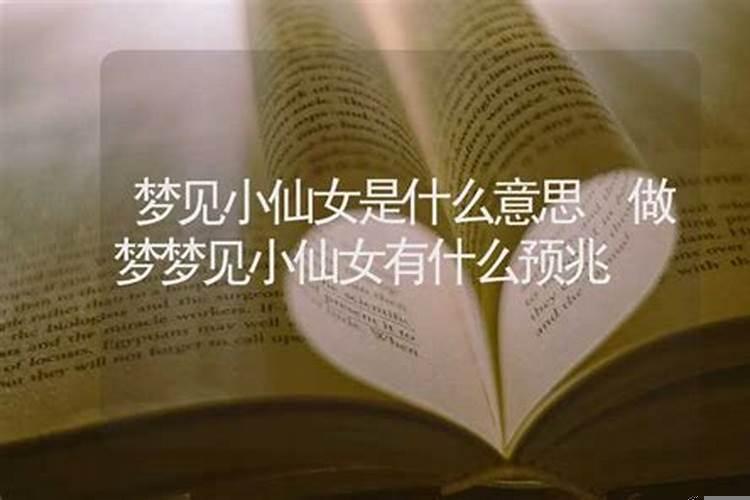 梦见看到仙女什么意思?
