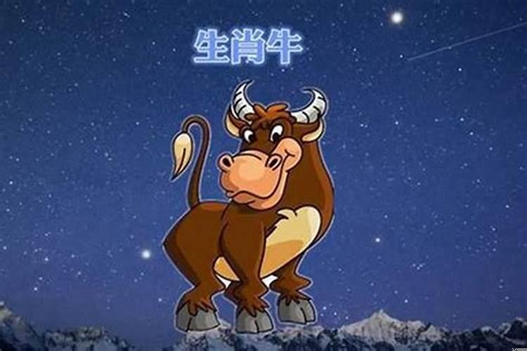 属鸡和属蛇能在一起吗