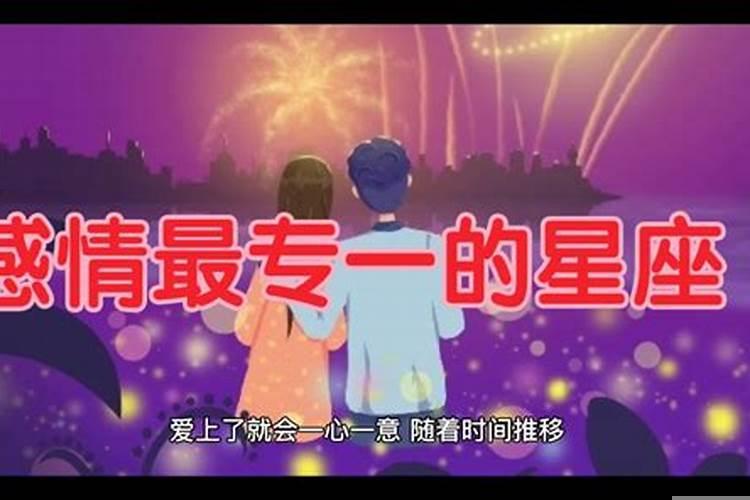 对感情特别专一的星座