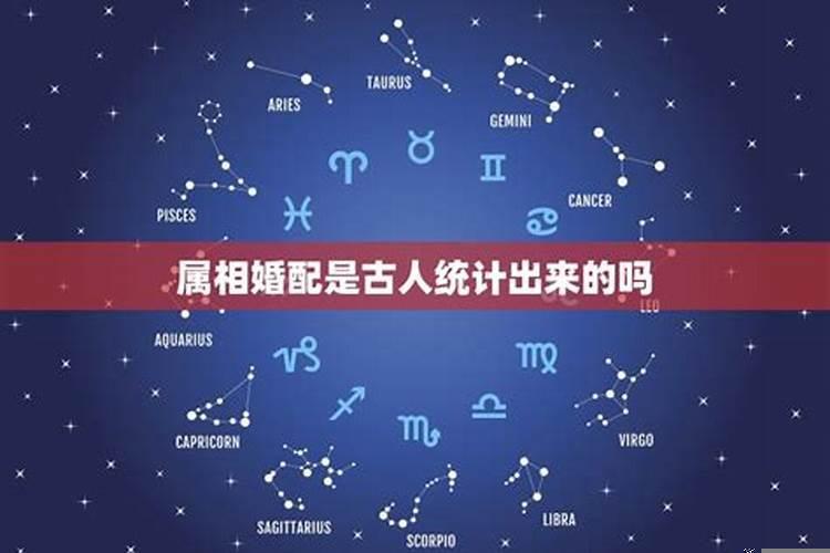 婚配与属相的关系