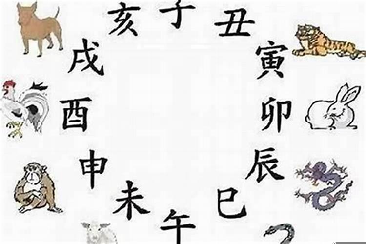 什么叫属相三合局