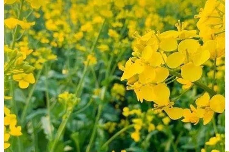 年干能克时干吗