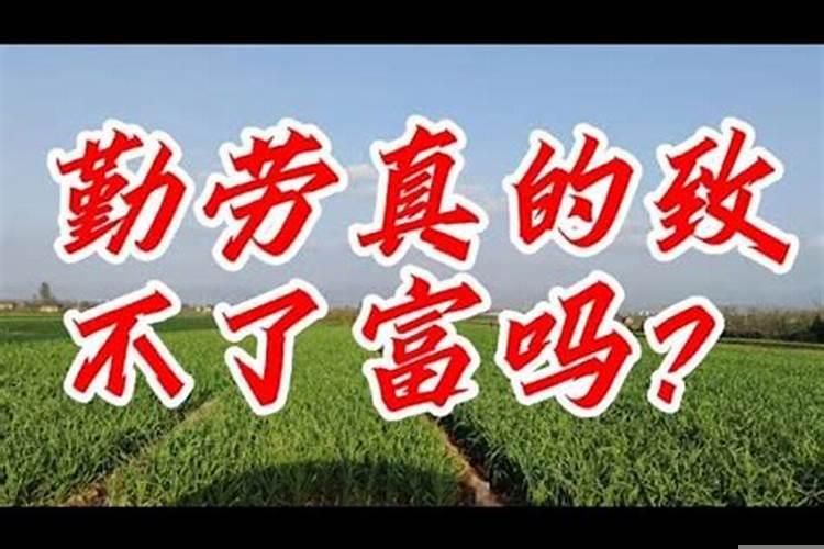 大富是命小富是勤