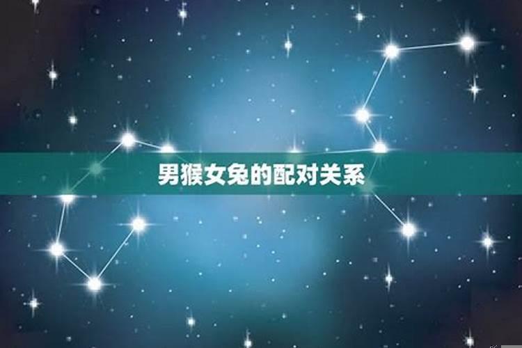 兔男和女猴相配婚姻如何