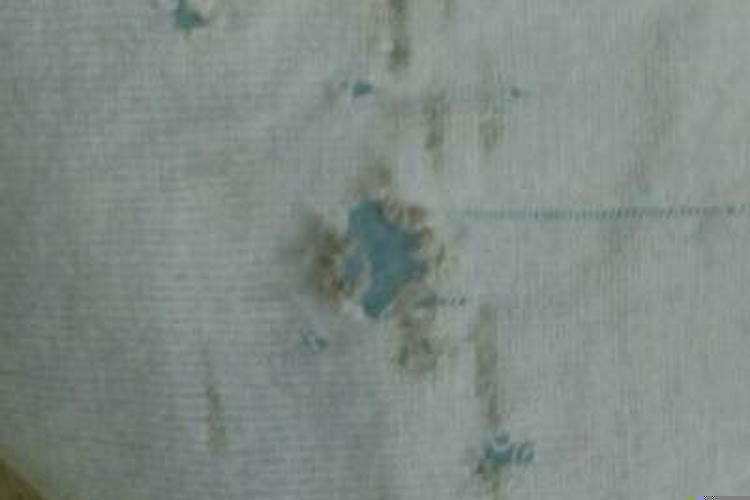 梦见自己暗恋的人也喜欢我