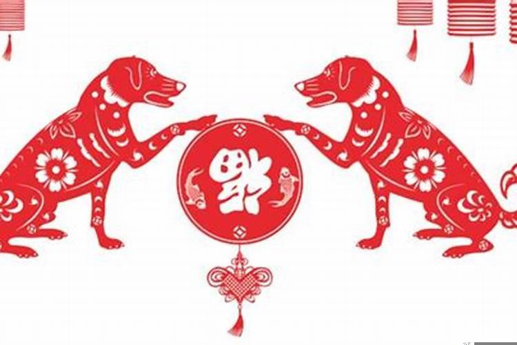 82年属狗女的性格和爱情