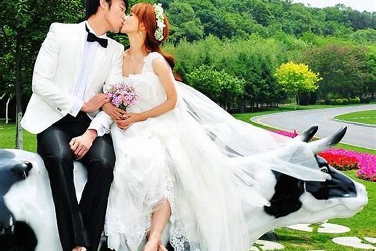 今年年底有结婚运的生肖