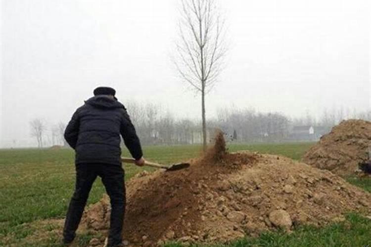 下雨坟头塌陷预示什么