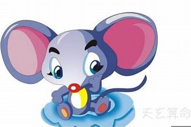 属鼠的人有什么缺点