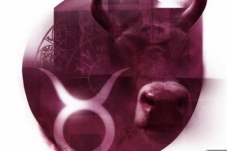 金牛座男生一点都不关心女友