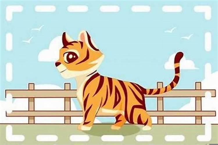 女人属虎的命运好不好